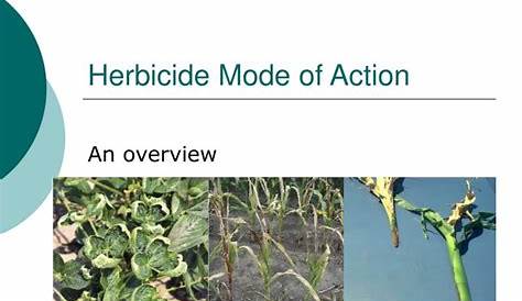 herbicide modes of action list