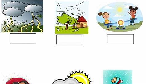Different types of weather worksheet | Weather worksheets, Worksheets