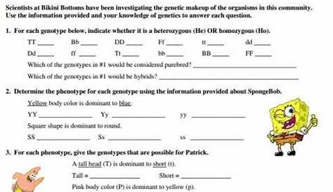 spongebob genetics worksheets answer key
