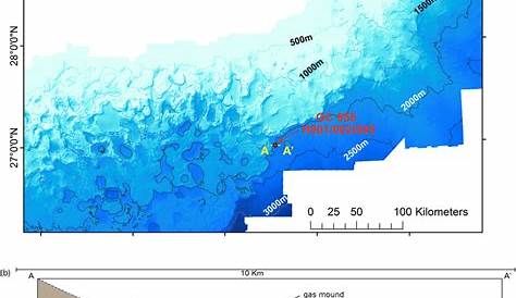 (a) GC 955 is located at the water depth of ∼2,000 m in the northern