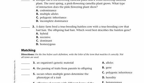 dna and genes worksheet answers