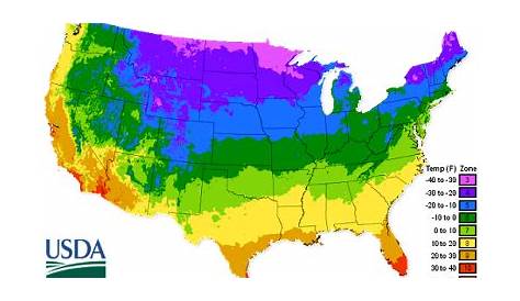 Zone 5 Vegetable Planting Guide – Mary's Heirloom Seeds