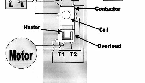 220V Single Phase Motor Wiring Diagram - Wiring Diagram