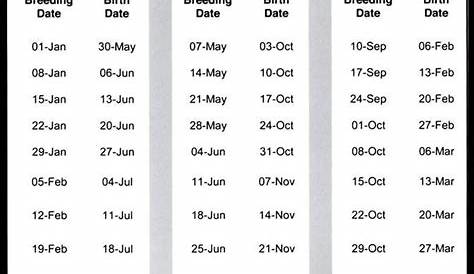 gestation chart for sheep