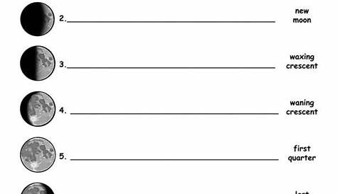 moon phases worksheet kindergarten