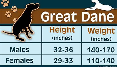 growth chart for great dane