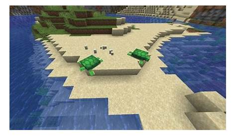how to get sea turtle eggs minecraft