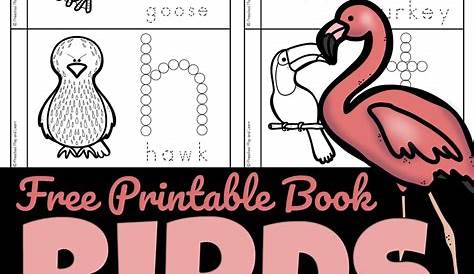 🦩🦜🐧 FREE Birds for Preschoolers Printable Book