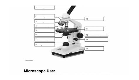 32 Microscope Parts And Use Worksheet Answers - support worksheet