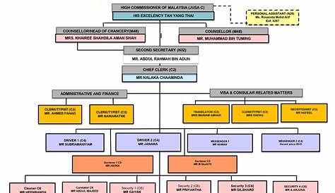 Organisational Chart - Portal