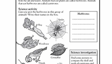 science 3rd grade worksheets