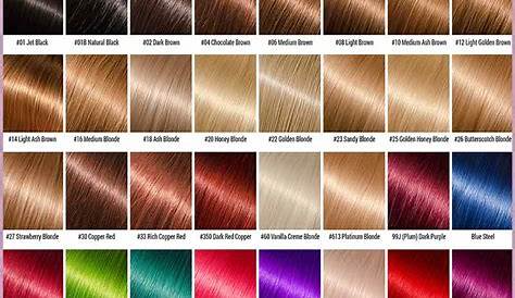 Ion Hair Color Chart For Beginners And Everyone Else - Lewigs