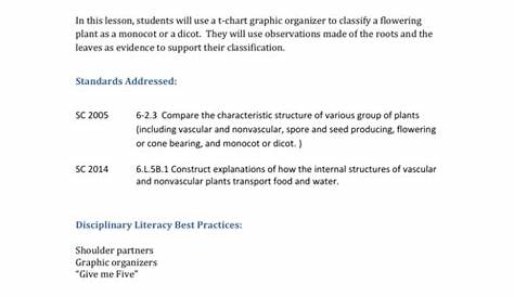 monocot or dicot worksheet answers