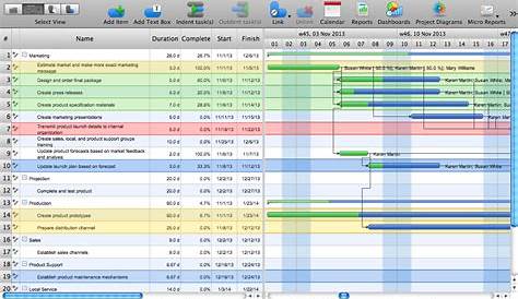 how to view gantt chart in project