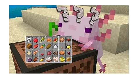 what do axolotl eat in minecraft