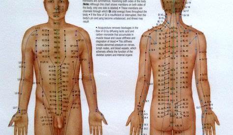 free simplified acupuncture point chart