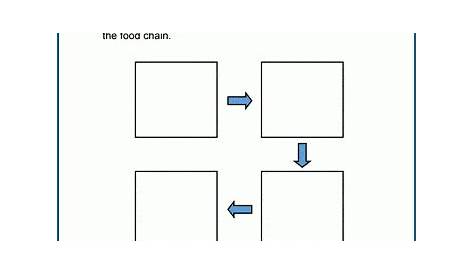 food chain worksheet 1 a