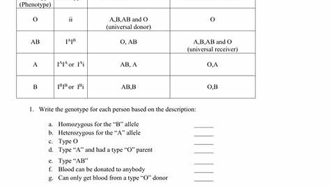 genetics blood types worksheets