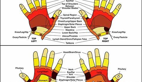Hand Reflexology Chart | wish list | Pinterest