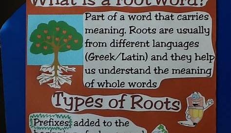 root words anchor chart