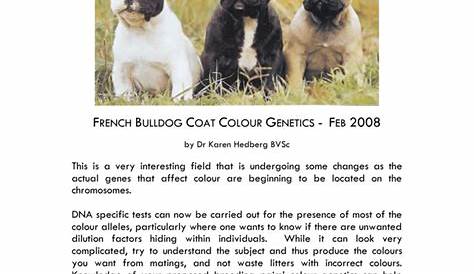 french bulldog genetic color chart