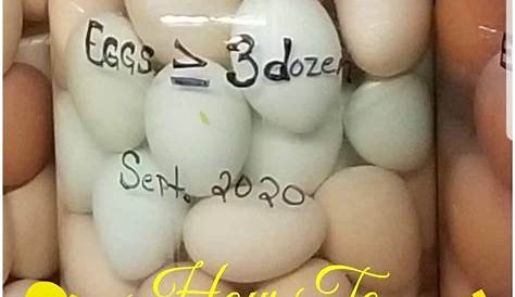 length of storage for eggs
