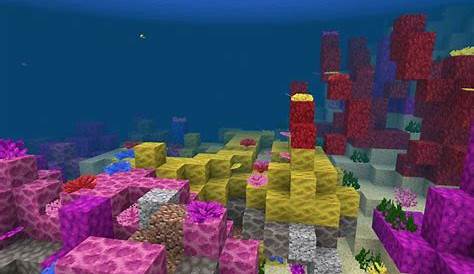 Coral Reef Near Spawn Seed (Beta Only) for Minecraft PE (With images