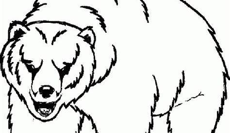 Bear Coloring Pages - Part 3