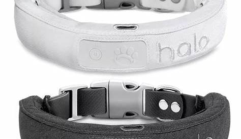 how much is a halo dog collar