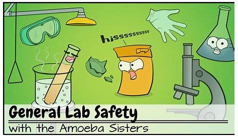 lab safety cartoon worksheet pdf