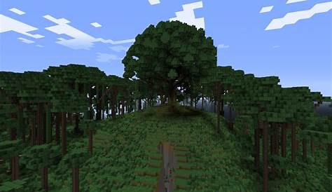 Custom Terrain: Rainforest Valley (1.0 Update) Minecraft Map