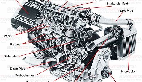 Under Car Hood Diagram | My Wiring DIagram