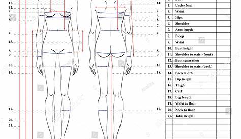 pdf body measurement chart