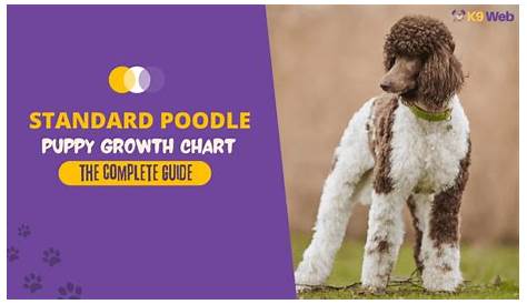 growth chart standard poodle