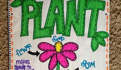 Parts of a plant anchor chart by mel01 Kindergarten Anchor Charts
