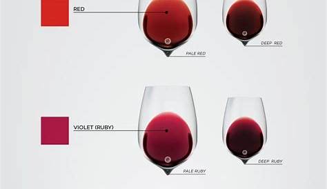 Know A Wine Just By Looking At The Color | by KS Loves Wine | Wine