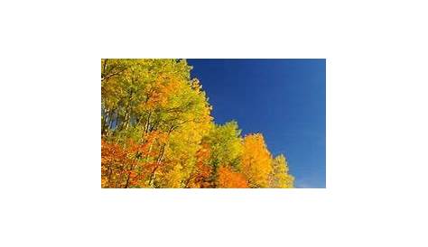 Check out Presque Isle on the Fall Color Report on TravelWisconsin.com