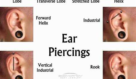 Pin by 🌺Ashly🌺 on Tattoos & piercings-ideas | Ear piercing names