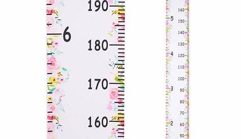 wall height measurement chart