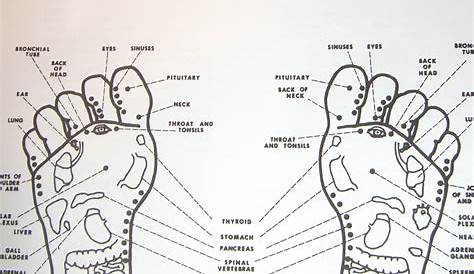 acupressure points guide pdf