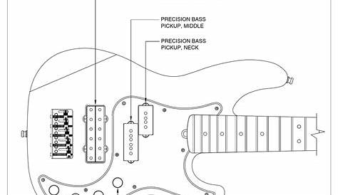 Fender P Bass Wiring Diagram - Fender Deluxe Active Precision Bass