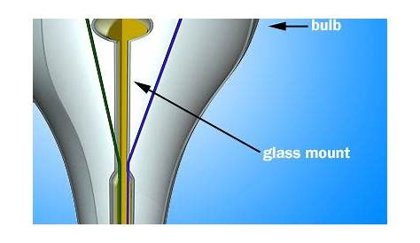 diagram of a bulb class 6