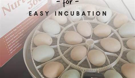 Buy Manna Pro Harris Farms Nurture Right Incubator | Egg Incubator for