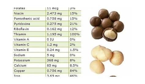 Properties and Benefits of Macadamia Nuts – NatureWord