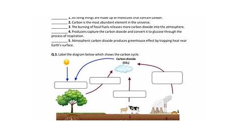 the carbon cycle activity worksheet part 2