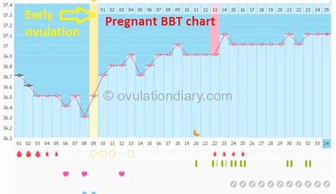 BBT at Different times (+5 impact Factors!) - OvulationDiary.com