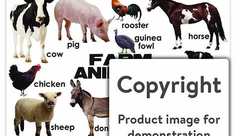Farm Animals | School Charts Animals | Depicta Charts