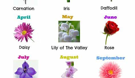 flowers of the month chart