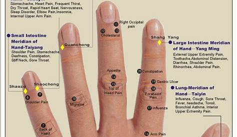 REFLEXOLOGY HAND CHART - Tips & guidelines for hand reflexology charts