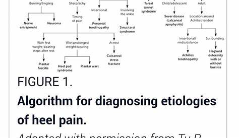 foot heel pain diagnosis chart
